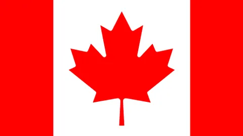 徐梦桃勇夺亚冬会自由式滑雪女子空中技巧冠军