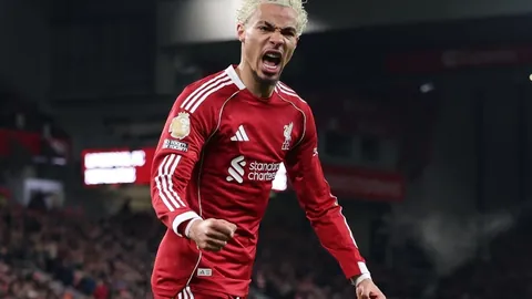 皇冠体育app下载